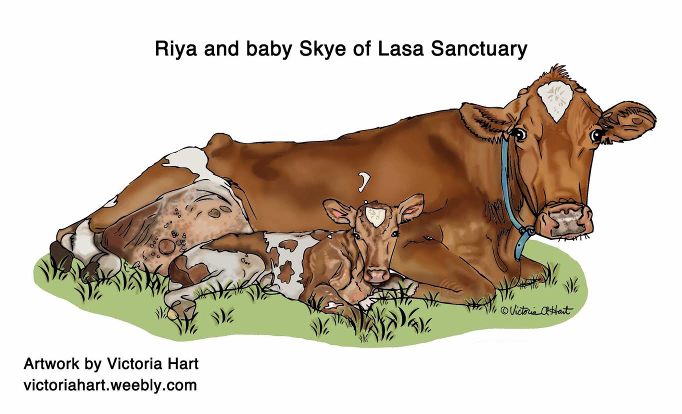 Victoria Hart Illustration of Lana and Skye from Lasa Sanctuary