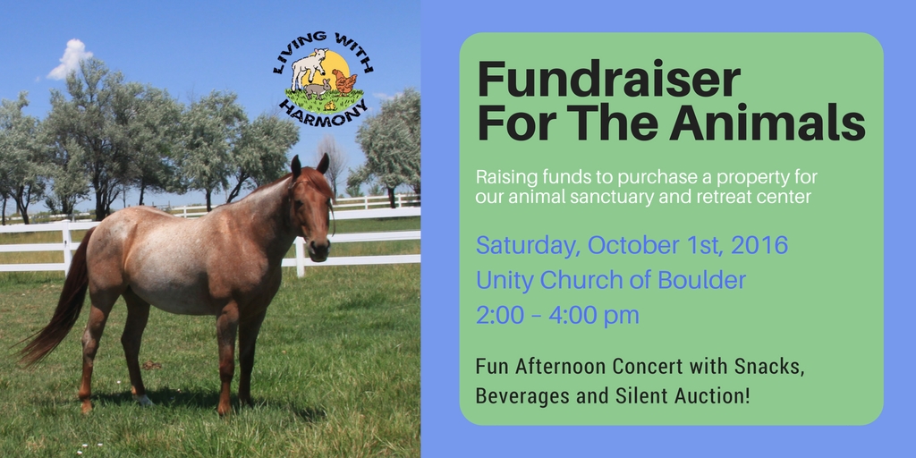 Fundraiser for the Animals 2016